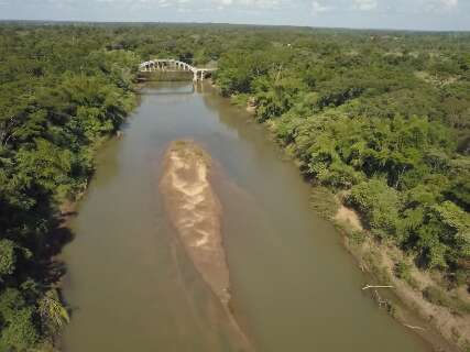 Bancos de areia asfixiam águas do Rio Miranda, que viajam por 490 quilômetros
