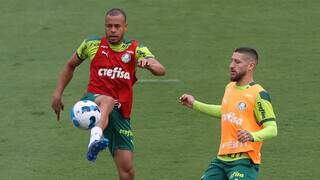 Atletas do Verdão em treinamento antes da estreia na competição continental. (Foto: Cesar Greco/Palmeiras)