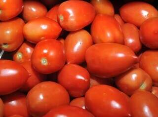 Quilo do tomate foi o que registrou a maior variação em março, de 51,74%. (Foto: Arquivo)