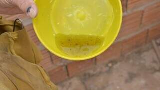 Agente de saúde encontra água parada em pote, local propício para o mosquito da dengue depositar seus ovos. (Foto: PMCG)