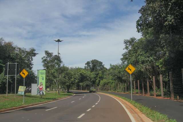 Parque sem quebra-molas &eacute; pedido de ciclistas e bichos ter&atilde;o &ldquo;faixa de patinhas&rdquo;