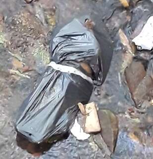 Cachorro morto é colocado em saco de lixo e "descartado" em córrego 
