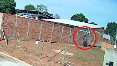 Ladr&otilde;es dopam cachorro e casa &eacute; furtada pela quarta vez 
