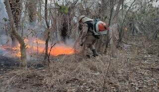 Combate aos incêndios na Colônia São Domingos, na região do Pantanal, em Corumba, em 2021. (Foto: Divulgação)