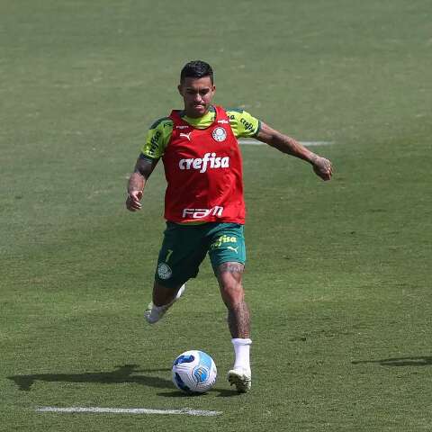 Palmeiras e Flamengo buscam hoje a segunda vit&oacute;ria na Libertadores da Am&eacute;rica