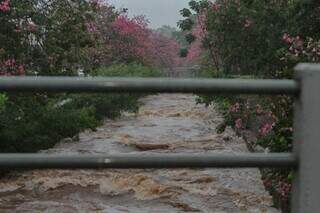 Córrego Prosa na Avenida Ricardo Brandão recebe grande volume de água. (Foto: Marcos Maluf) 