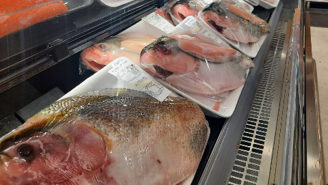 Hambúrguer de peixe: veja receita e curso gratuito com inscrições abertas