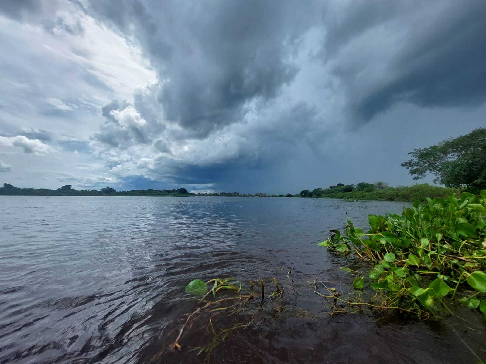 Redução de chuva nas próximas semanas acende alerta sobre incêndio no  Pantanal - Mato Grosso do Sul - Campo Grande News