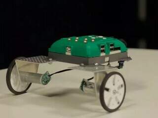 Um dos materiais de robótica vendidos pela Megalic, e usados em ambientes escolares. (Foto: Reprodução)