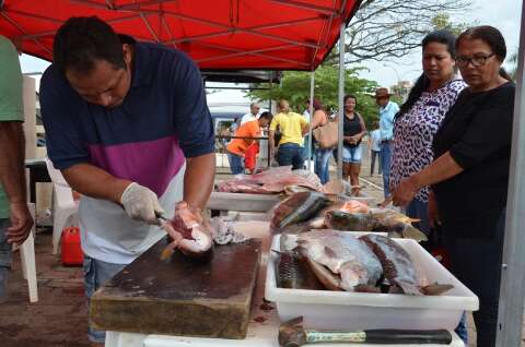 Páscoa: 7ª Feira do Peixe coloca 15 toneladas de pescado à venda hoje 