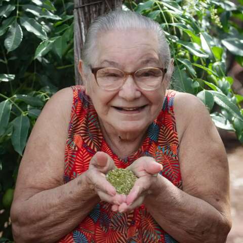 Depois de 80 anos, erva-mate continua como o amor de Marlene