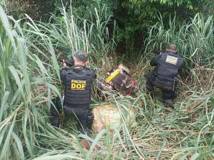 Polícia desconfia de rastros em lavoura e encontra droga no meio do mato