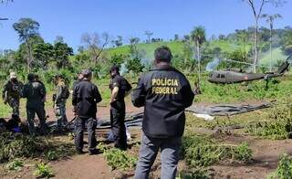 Policiais paraguaios e brasileiros em área de cultivo de maconha no 1º dia da nova ofensiva (Foto: Divulgação)