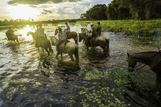 Cavalgada pantaneira: momento propício para descansar em meio à natureza no cenário da novela Pantanal. (Foto: Shutterstock)