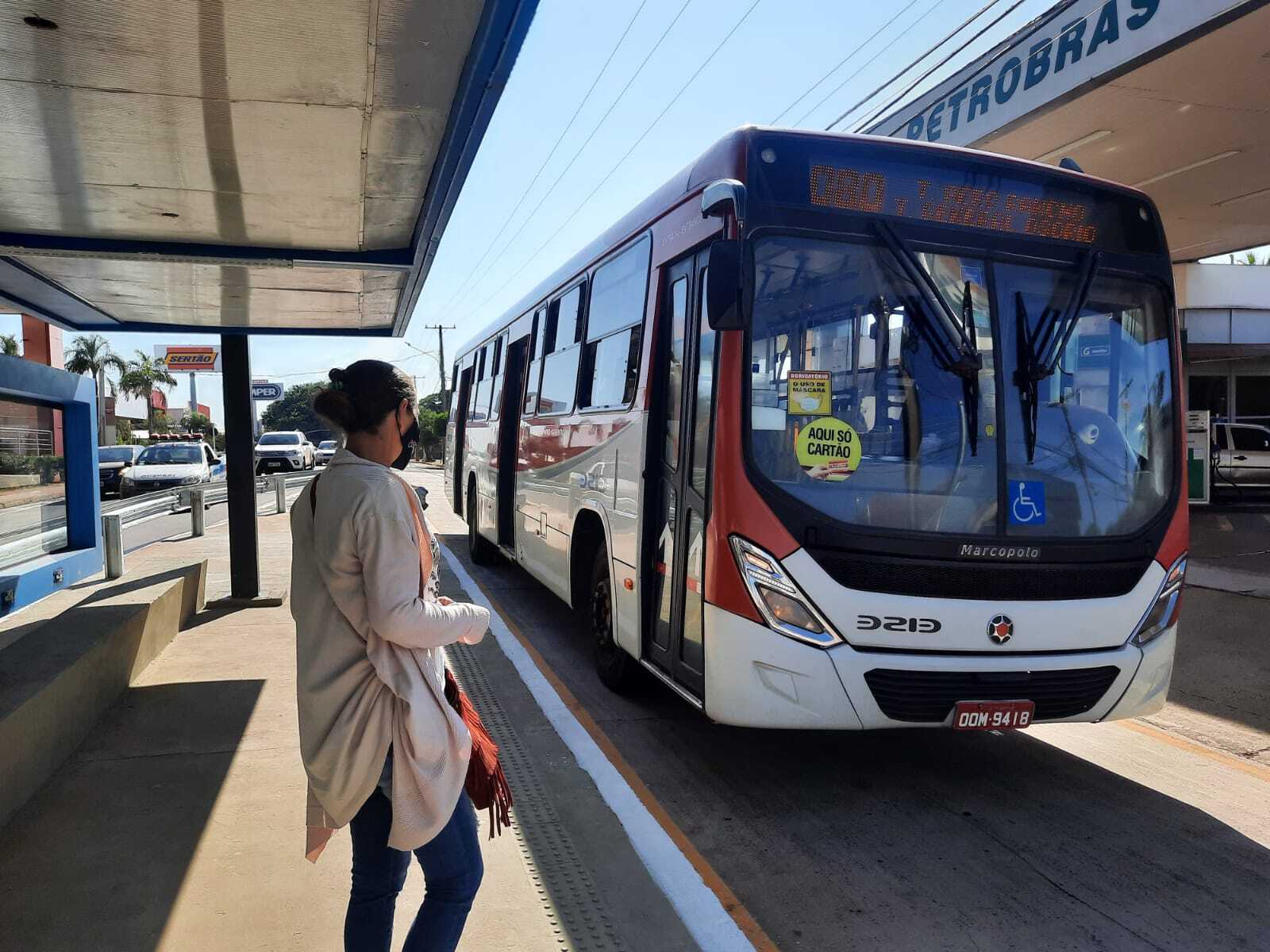 grande conjunto de transporte. coleção brilhante de carros e