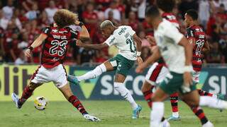 Danilo, do Palmeiras, disputa bola com o jogador David Luiz, do Flamengo. (Foto: Cesar Greco)