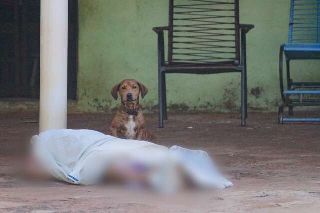 C&atilde;es em cima de dona ca&iacute;da &ldquo;avisam&rdquo; vizinhos que algo errado havia acontecido