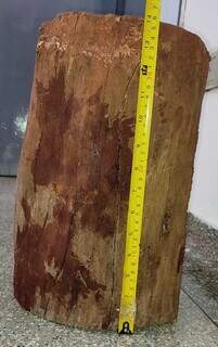 Tronco de madeira usado no crime pesava quase 13 kg segundo a polícia e foi apreendido sujo de sangue (Divulgação/PCMS)