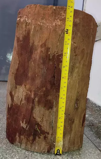 Tronco de madeira usado no crime pesava quase 13 quilos. (Foto: Divulgação/PCMS)