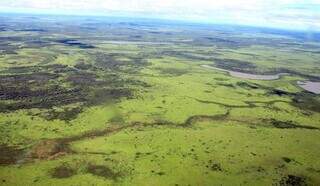 Pantanal de Corumbá, a 428 quilômetros de Campo Grande. (Foto: Silvio de Andrade/Divulgação)