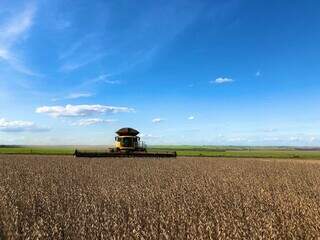 Plantação de soja em Mato Grosso do Sul sendo colhida. (Foto: Liana Feitosa)