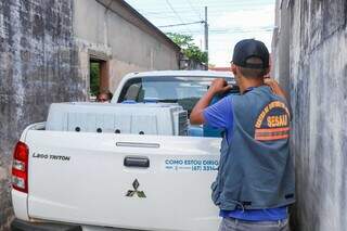 Mulher &eacute; presa na Capital por manter 15 gatos em casa sob &quot;p&eacute;ssimas condi&ccedil;&otilde;es&quot;