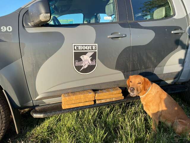 C&atilde;o do Choque frustra viagem de traficante para GO com mala cheia de maconha