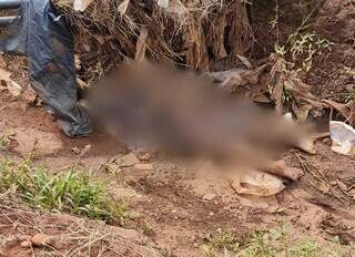 Corpo de adolescente brasileira foi encontrado em vala no Paraguai. (Foto: Direto das Ruas)