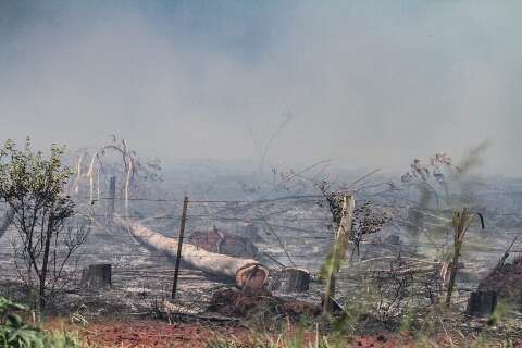 Acidente na rede elétrica causa incêndio em área rural durante poda de eucalipto