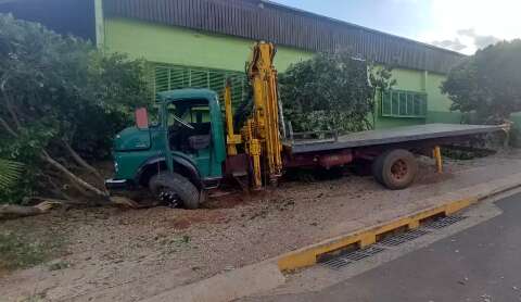 Sem freio, caminhão arranca árvores de canteiro no Nova Lima 