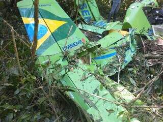 Destroços da aeronave em meio a mata (Fotos: Direto das Ruas)