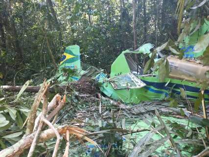 Imagens mostram destroços de avião agrícola que saiu de MS e caiu em MT 