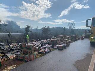 Fogo queima vegeta&ccedil;&atilde;o e 7 toneladas de &oacute;leo de soja de carreta tombada