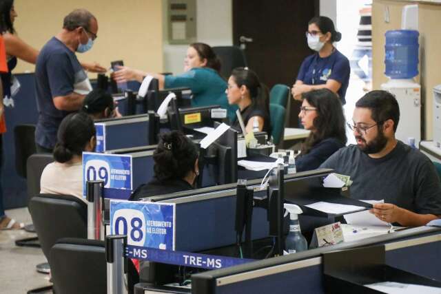 Eleitores deixam para regularizar t&iacute;tulo na &uacute;ltima hora