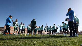 Elenco do Palmeiras faz treino leve em território boliviano. (Foto: Divulgação)