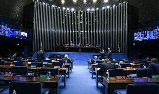 Parlamentares durante a sessão no Senado Federal. (Foto: Roque de Sá/Agência Senado) 