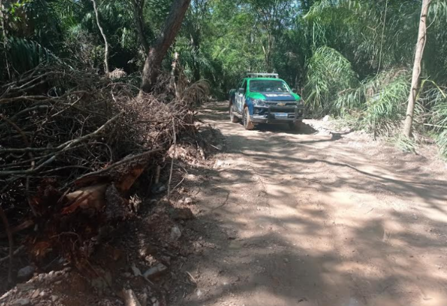 PMA multa empres&aacute;rio em R$ 20 mil por abrir estrada ilegal pr&oacute;ximo a rio