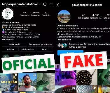 Perfil fake do Bioparque Pantanal já tem quase 5 mil seguidores 