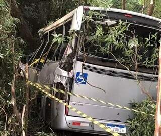 Veículo saiu da pista e caiu em área de matagal (Foto: Guia Medianeiras)