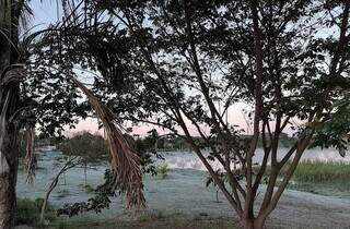 Gramado de parque coberto pela geada do dia 30 de junho do ano passado em Dourados (Foto: Helio de Freitas)