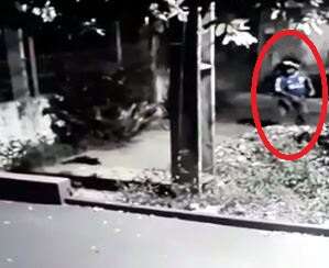 Do nada, motociclista atira pedra em gatinho no Cohafama; veja v&iacute;deo 