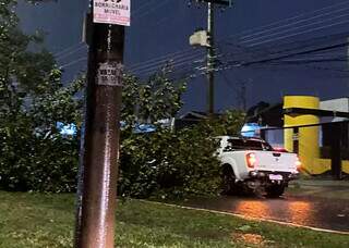 Árvore caiu sobre veículo na Avenida Mato Grosso na região do Vivendas do Bosque. (Foto: Direto das Ruas)