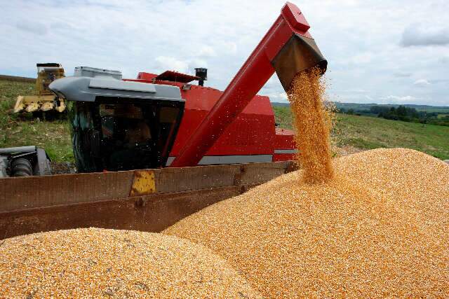 Clima favorece aumento da expectativa da safra de grãos no Estado