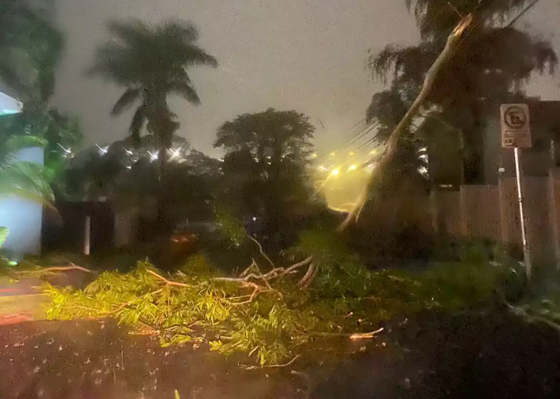 Chuva com muitos raios na noite de segunda para terça-feira assusta  moradores e derruba árvores