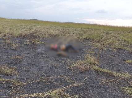 Corpo de homem é encontrado em chamas e marca de tiro no Caiobá
