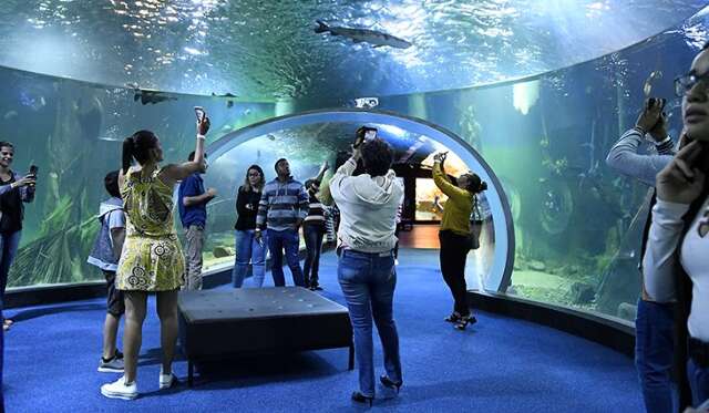 Bioparque Pantanal reabre agendamento de visitas nesta segunda-feira