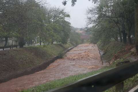Após noite de estragos, chuva volta a cair forte em Campo Grande