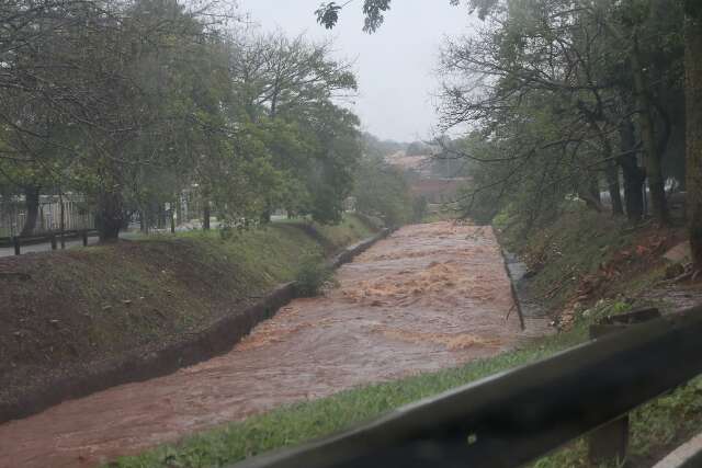Ap&oacute;s noite de estragos, chuva volta a cair forte em Campo Grande