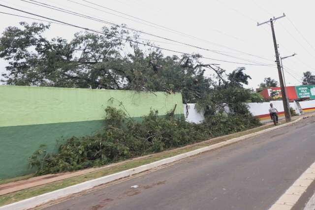 Ap&oacute;s temporal de fim de semana, 7 bairros ainda continuam sem energia 