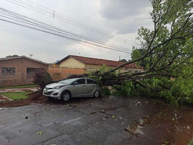 Voc&ecirc; j&aacute; sofreu danos materiais por causa da chuva?	